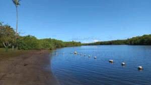 venda-casa-barra-do-jacuipe